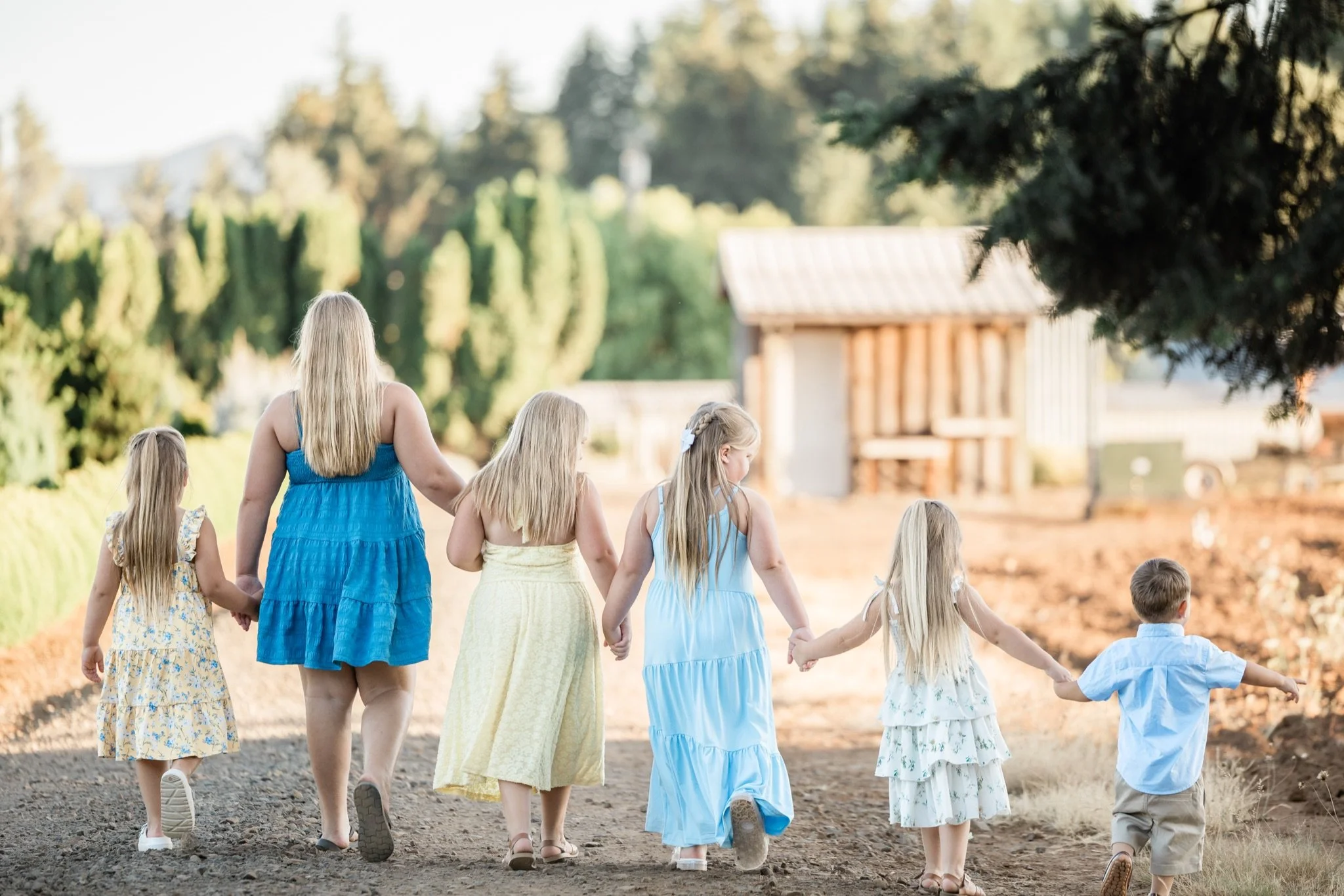 The cousins walking hand in hand down the farm road with the barn behind them