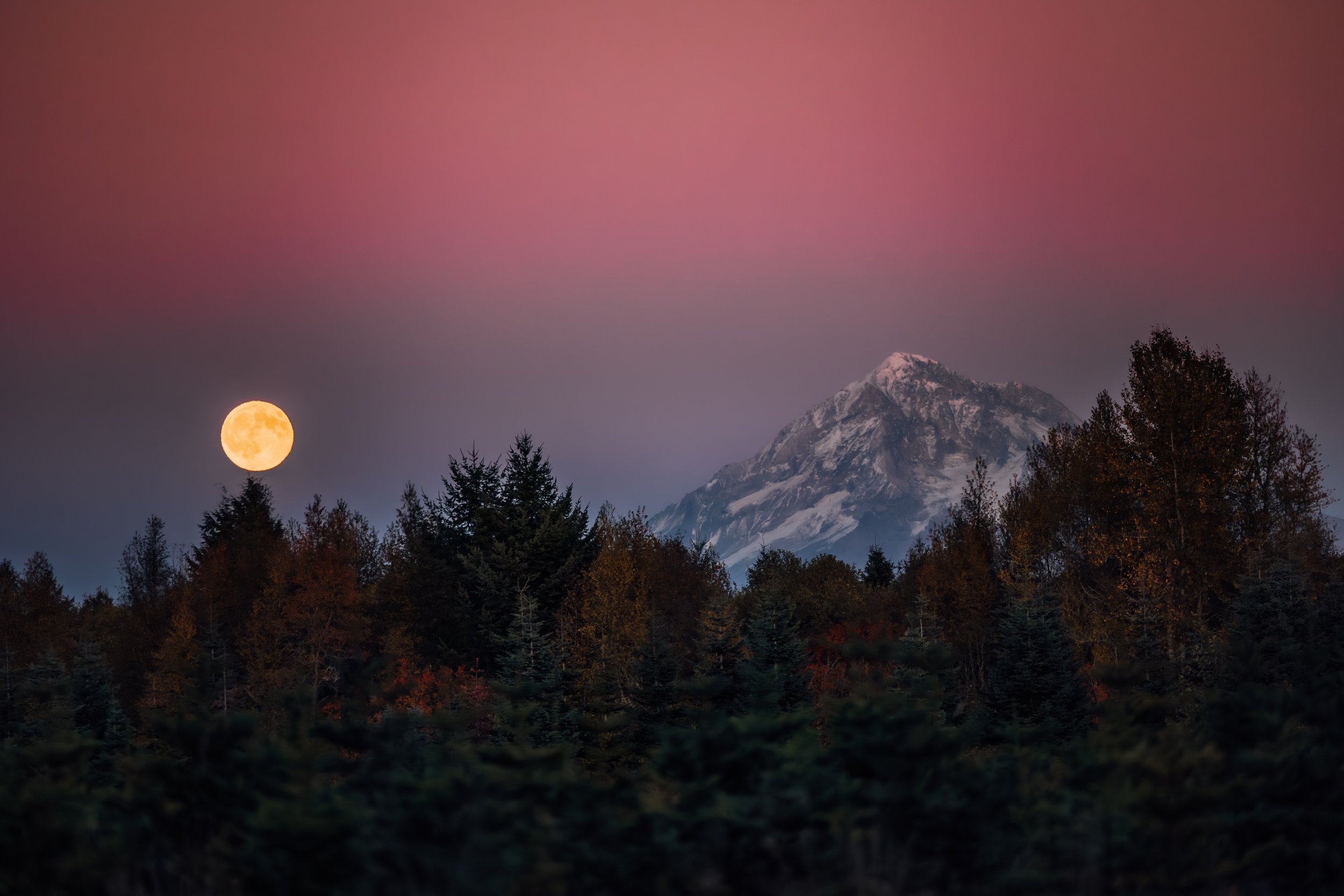 Studio623Photography-FullHarvestMoon2025-1.jpg