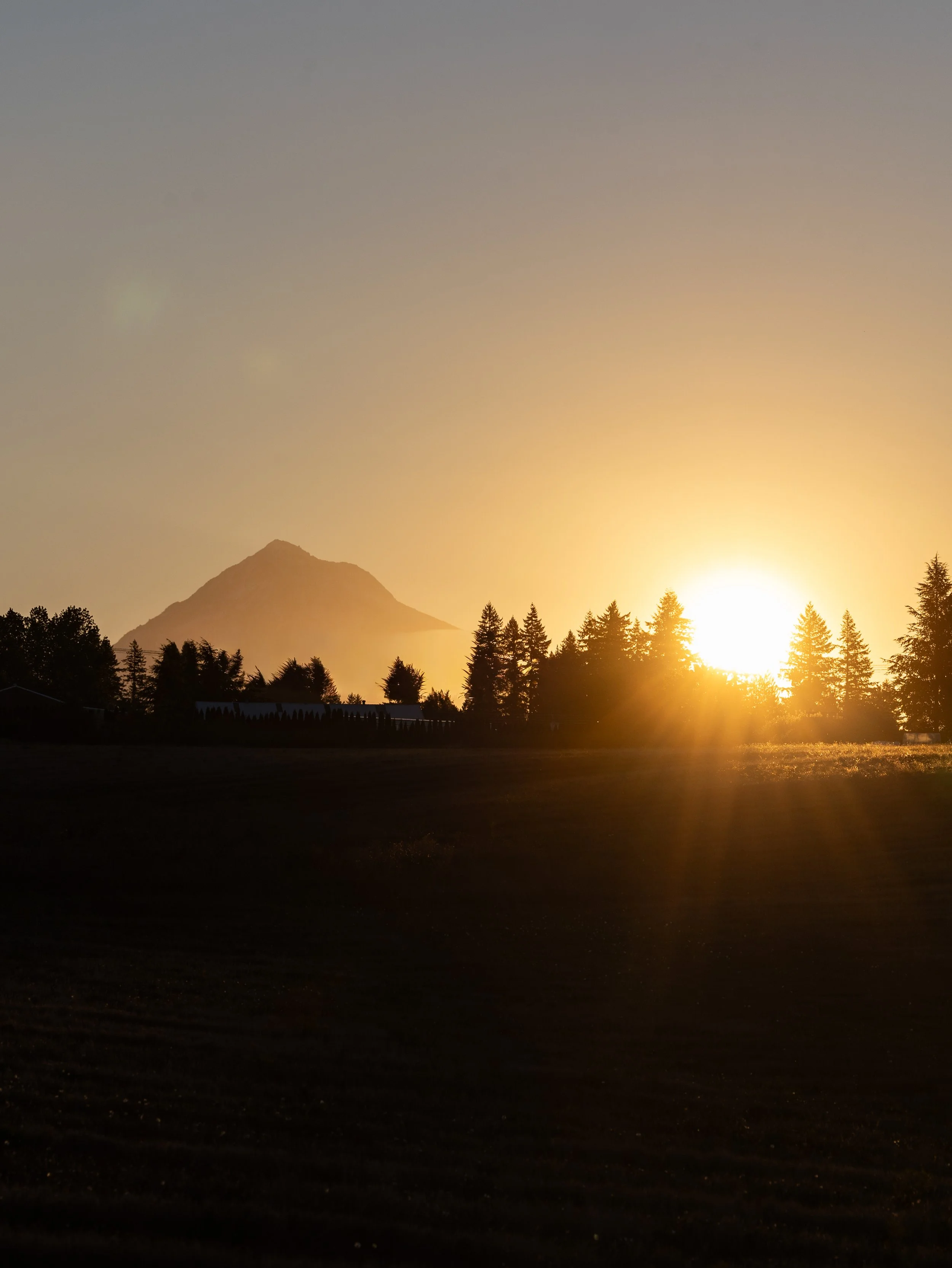 Studio623Photography-harvestmoon2025_-2.jpg