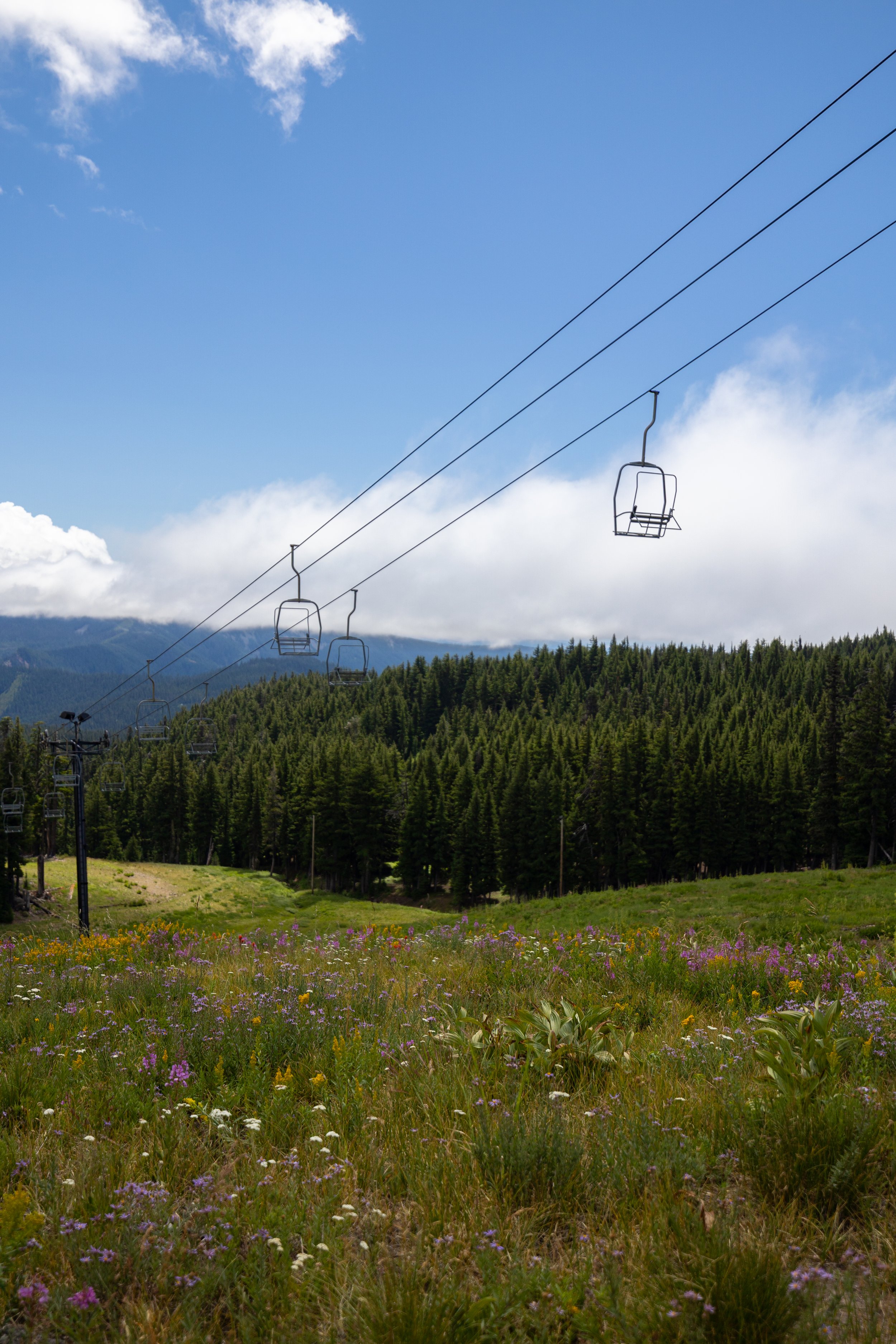 Studio623photography_2024_MtHoodMeadowsHike_-4.jpg