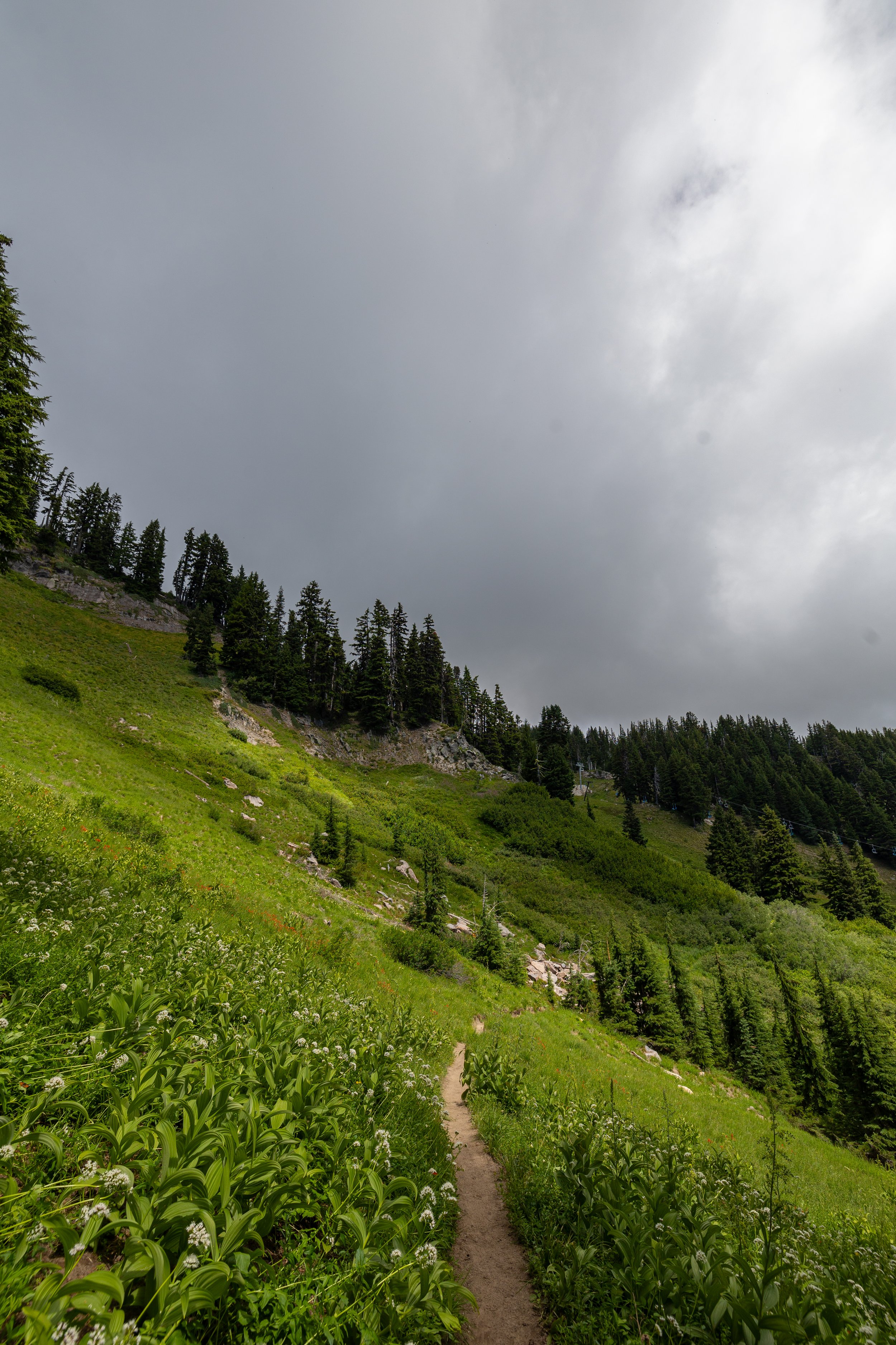 Studio623photography_2024_MtHoodMeadowsHike_-8.jpg