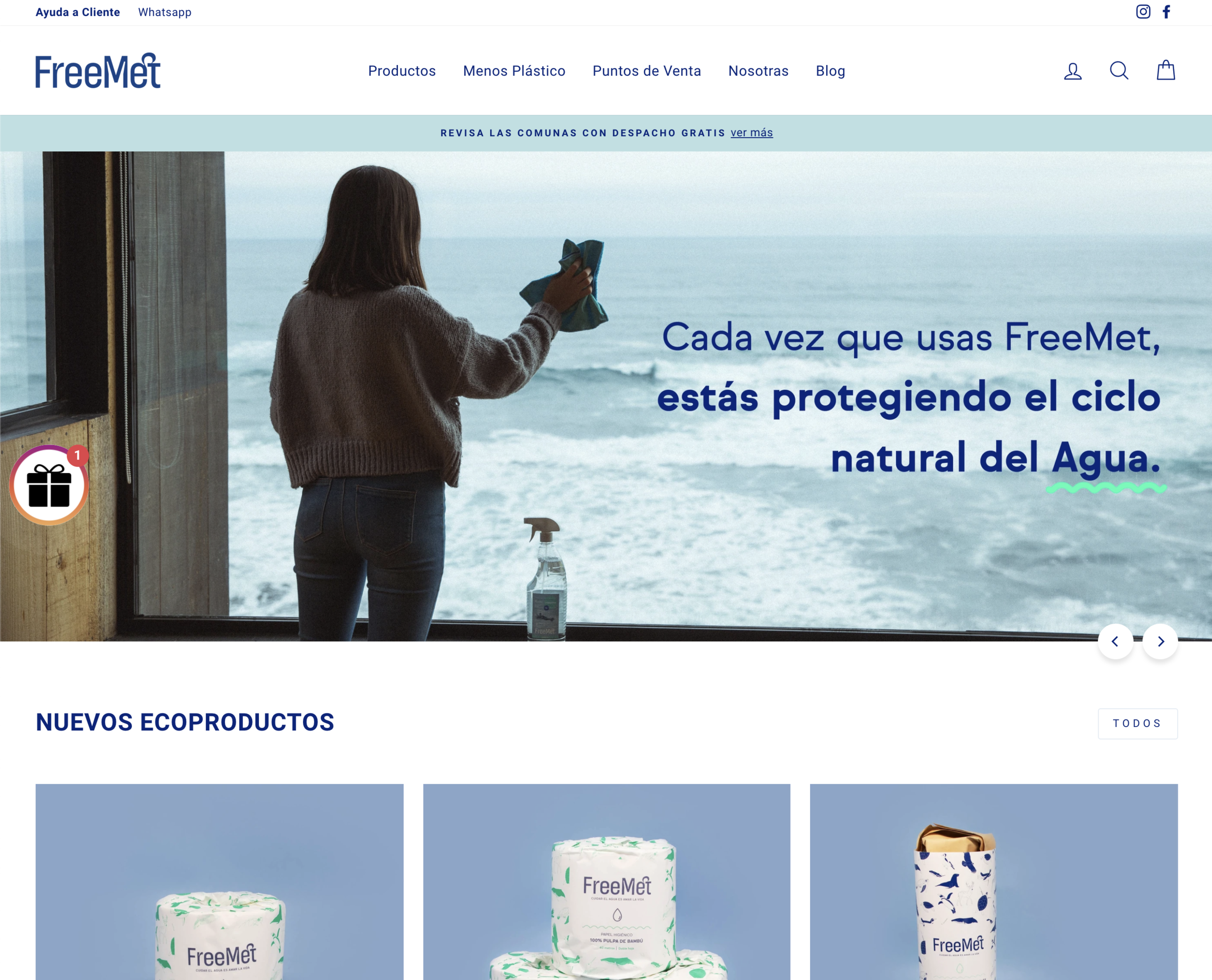 Freemet y Gita Buga desarrollo web
