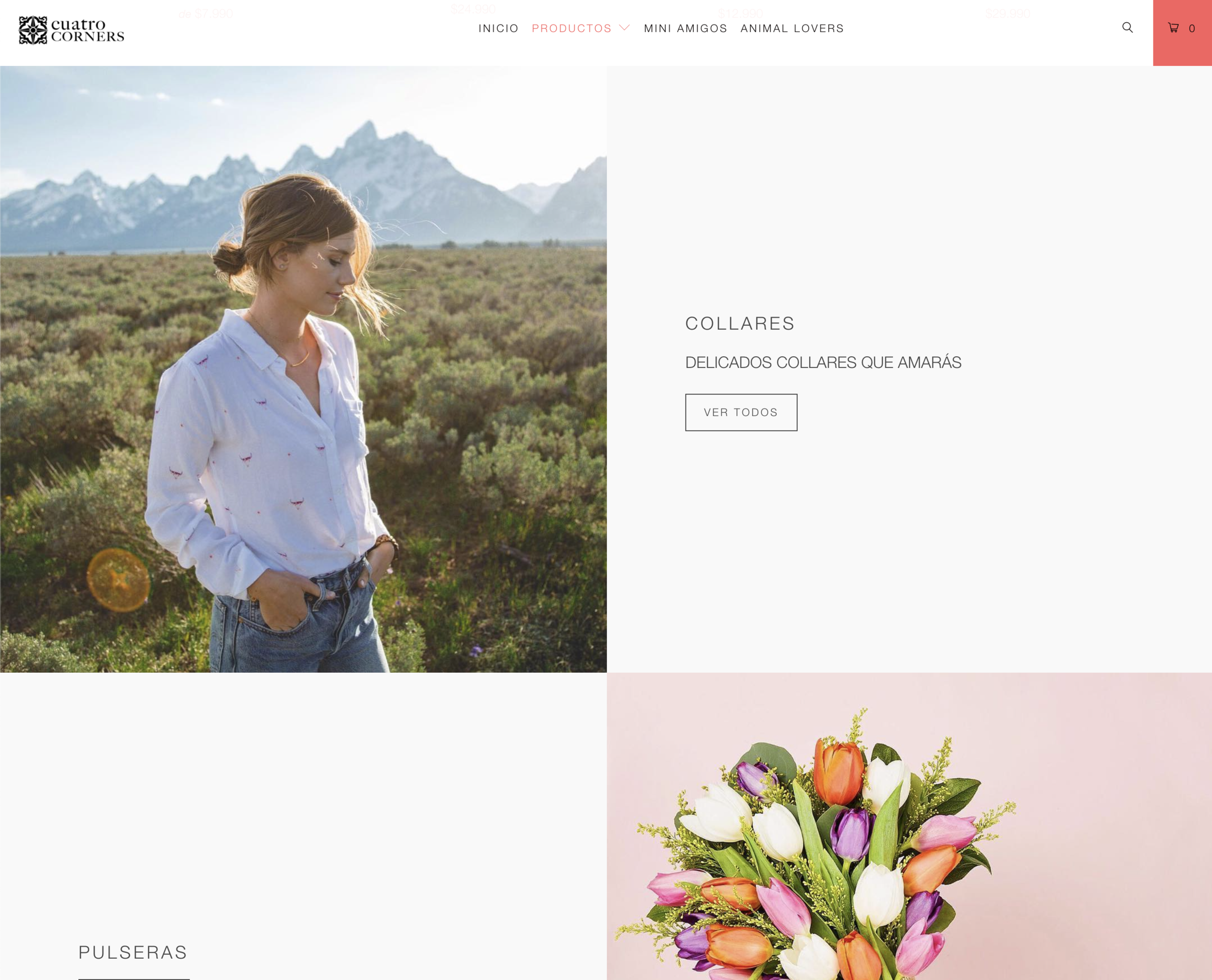 Cuatro Corners y Gita Buga Desarrollo Web