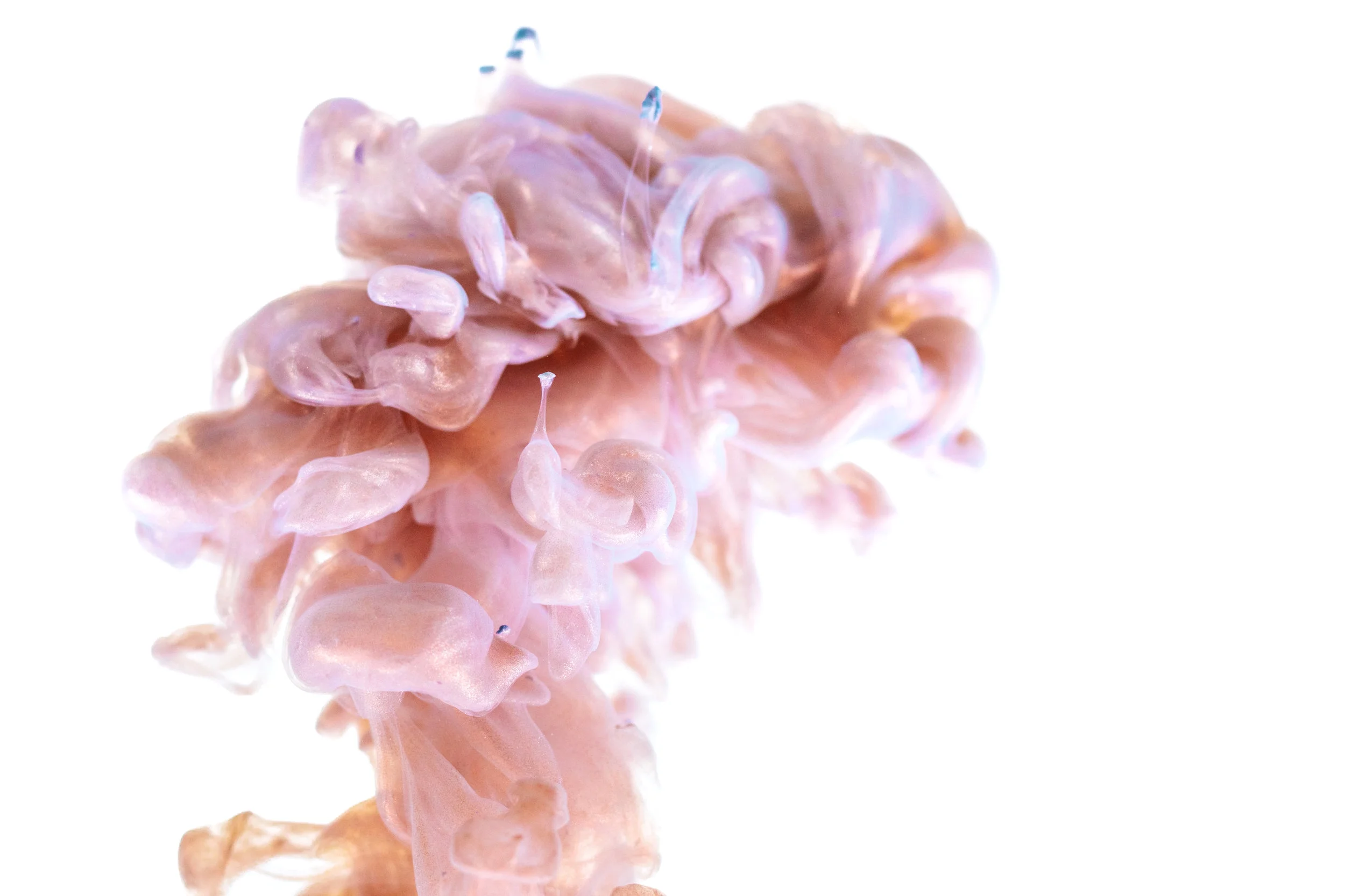 Deal-Breakers and Brain Function