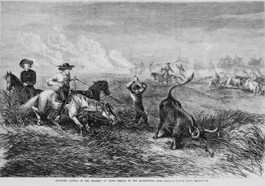 Cowboy Life in the 1800s: Primary Sources — Frontier Life