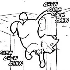 144 - Gamers Are People Too - The Joys of Pet Ownership Part 1