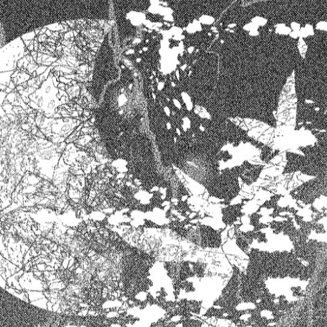 Soy Beans - Chapter 1 - Page 5