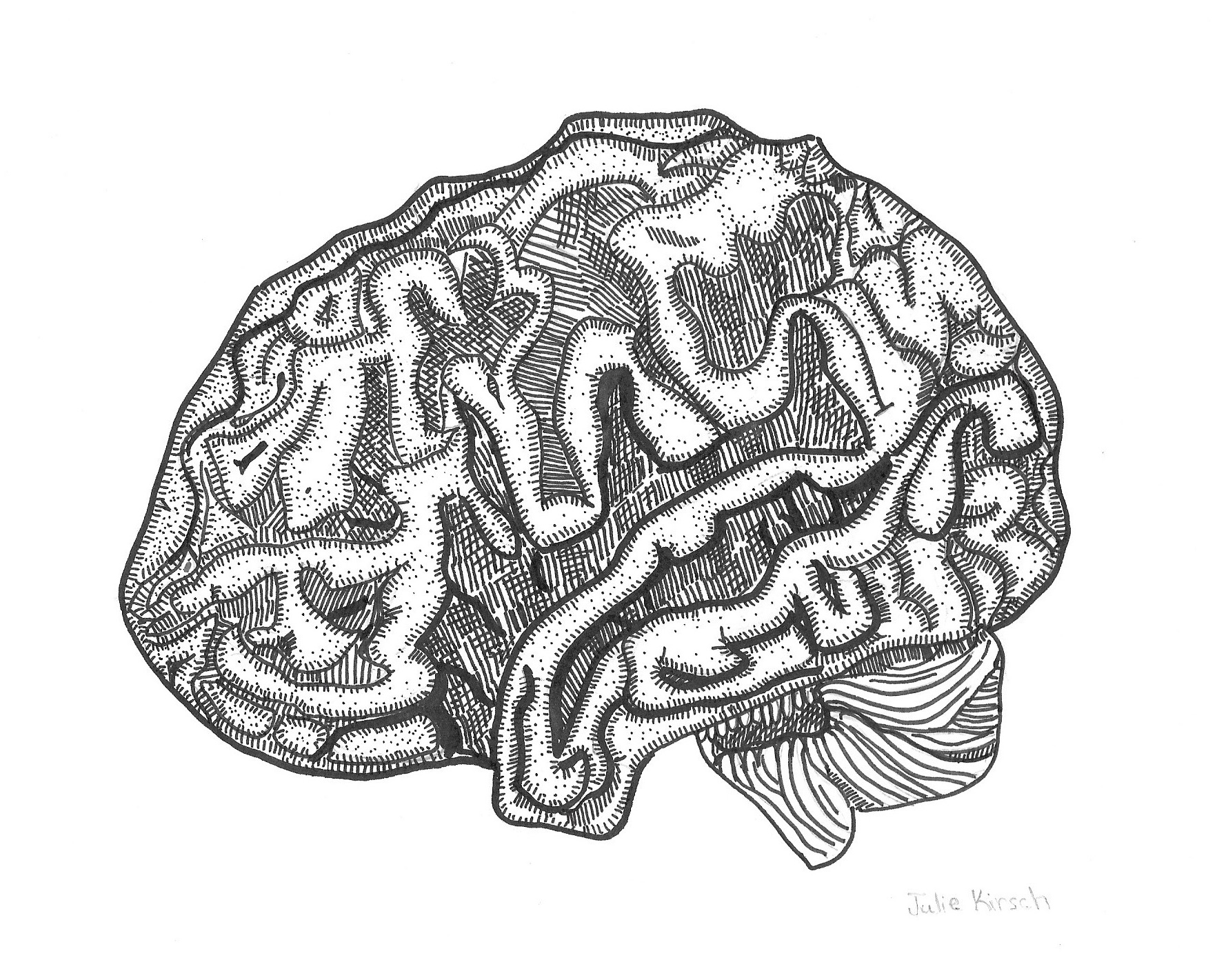 Brain_1_Feb27.jpg