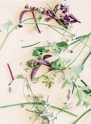 5 Tips to Spring Clean your Diet for a Fertile Life
