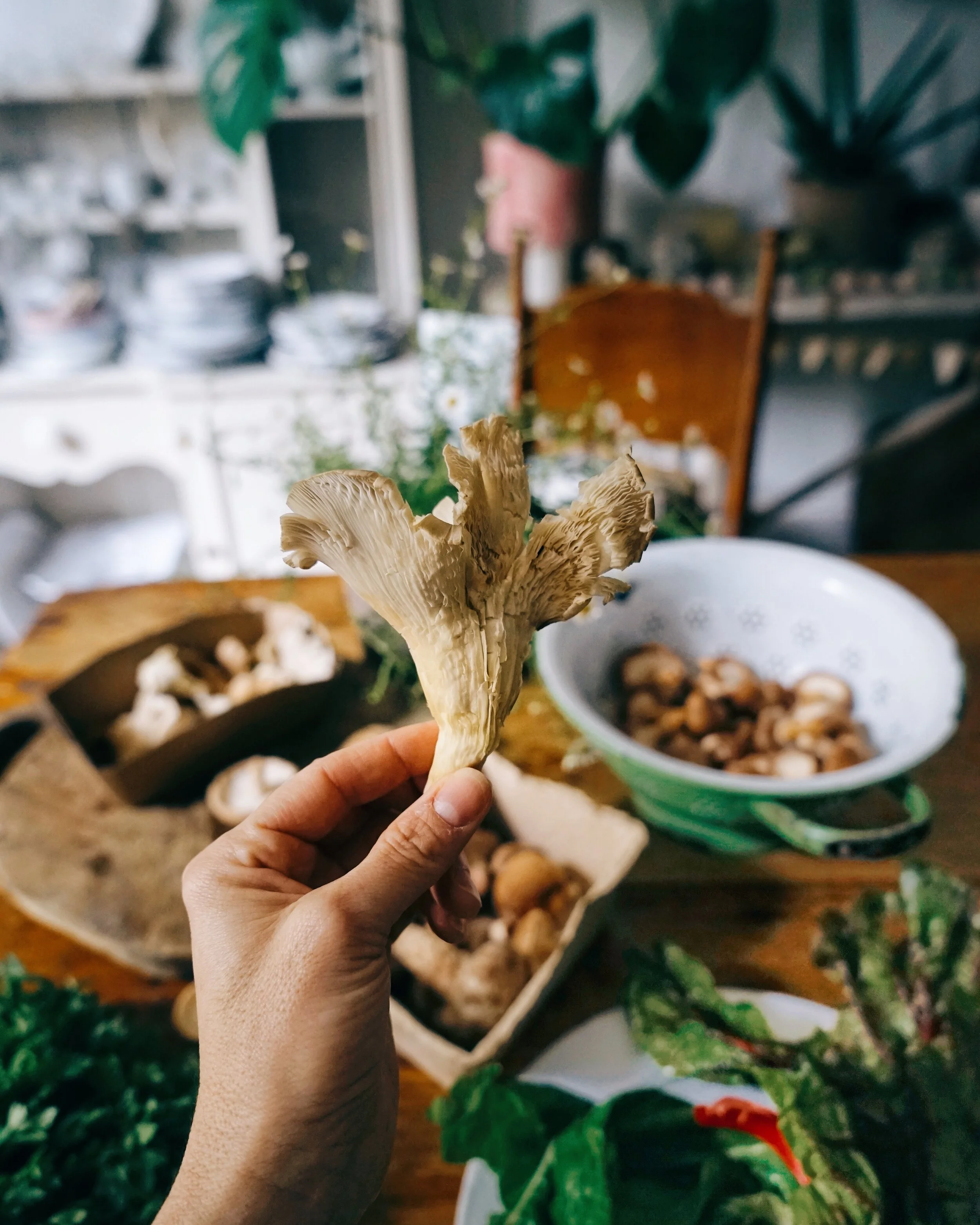 Wild Garlic and Shiitake Mushroom Omelette — Emma Cannon Fertility Clinic