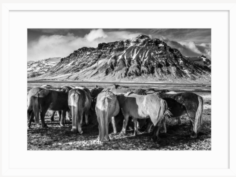 Screen Shot 2019-03-28 at 11.45.18 AM.png