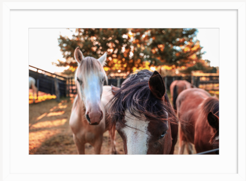 Screen Shot 2019-03-28 at 11.59.31 AM.png