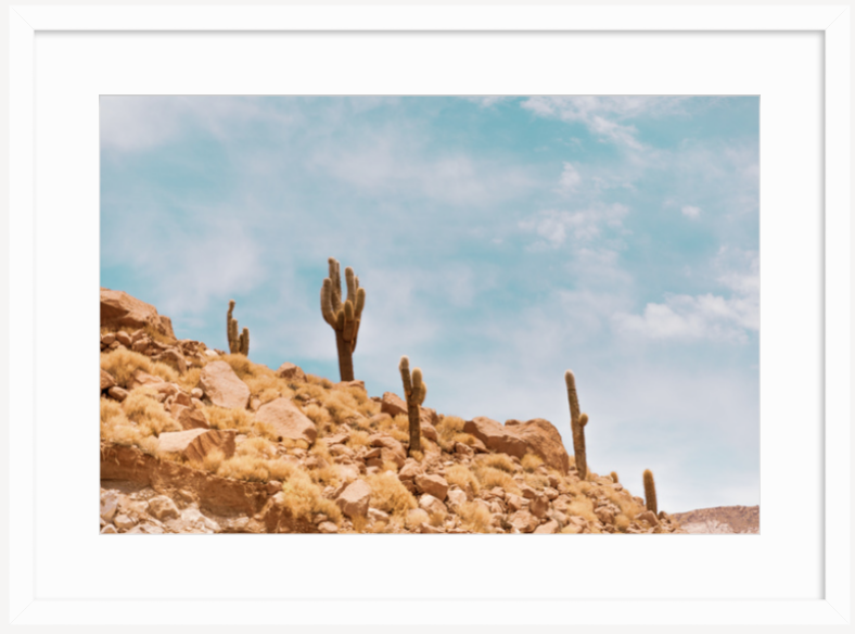 Screen Shot 2019-03-28 at 2.38.09 PM.png