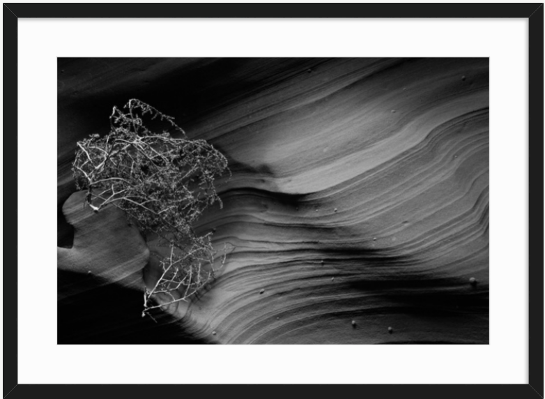 Screen Shot 2019-03-29 at 3.07.30 PM.png