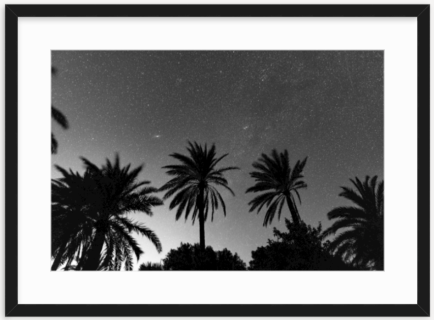 Screen Shot 2020-02-16 at 4.34.58 PM.png