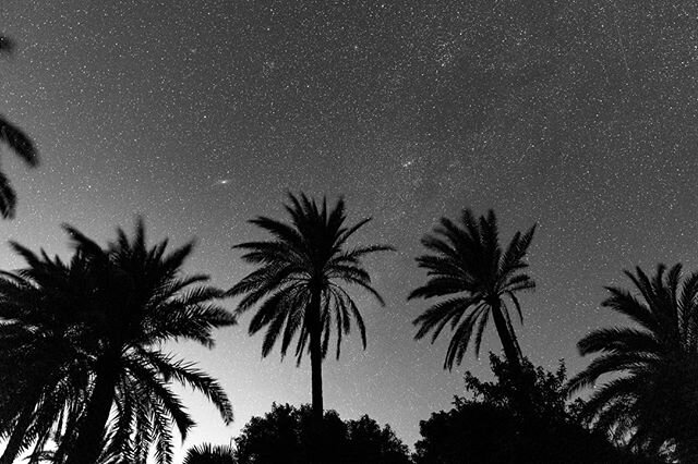 dark &amp; starry
.
.
.
.
.
#nightscape #antigua #nightphotography #stars #palmtree #canon