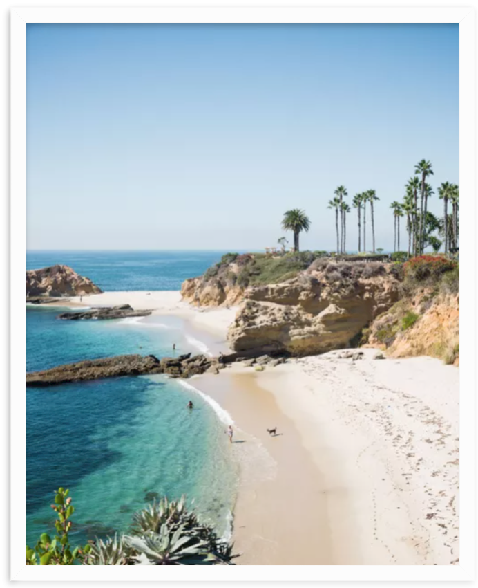 Screen Shot 2022-10-31 at 11.51.01 AM.png