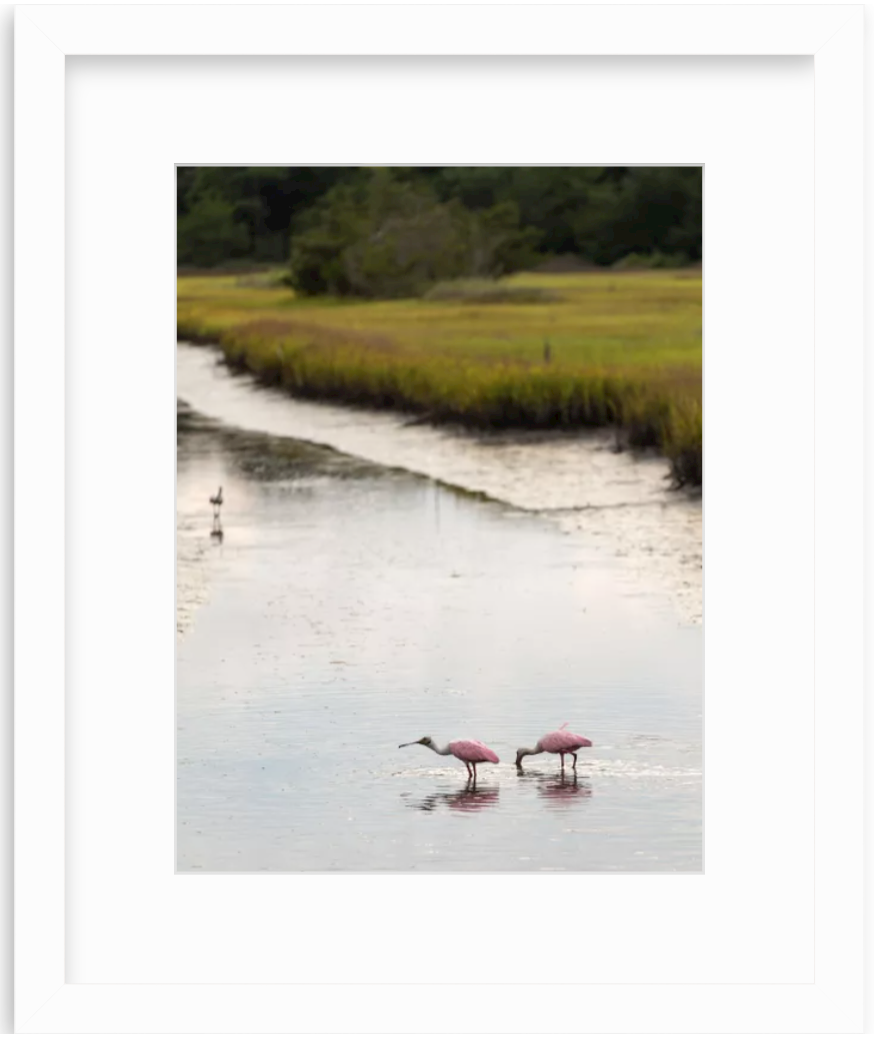 Screen Shot 2024-01-19 at 4.38.31 PM.png