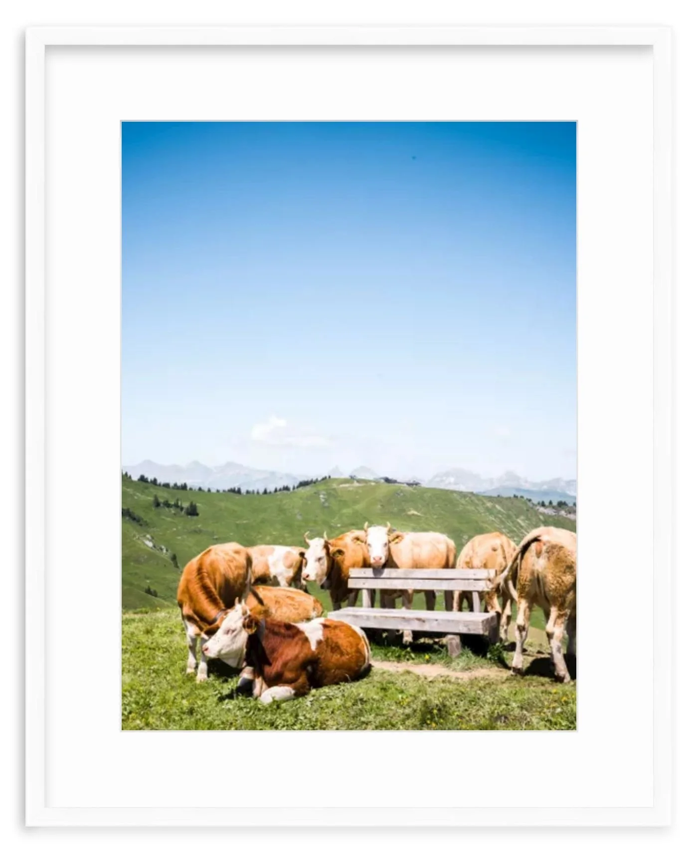 frame-preview (2).jpg