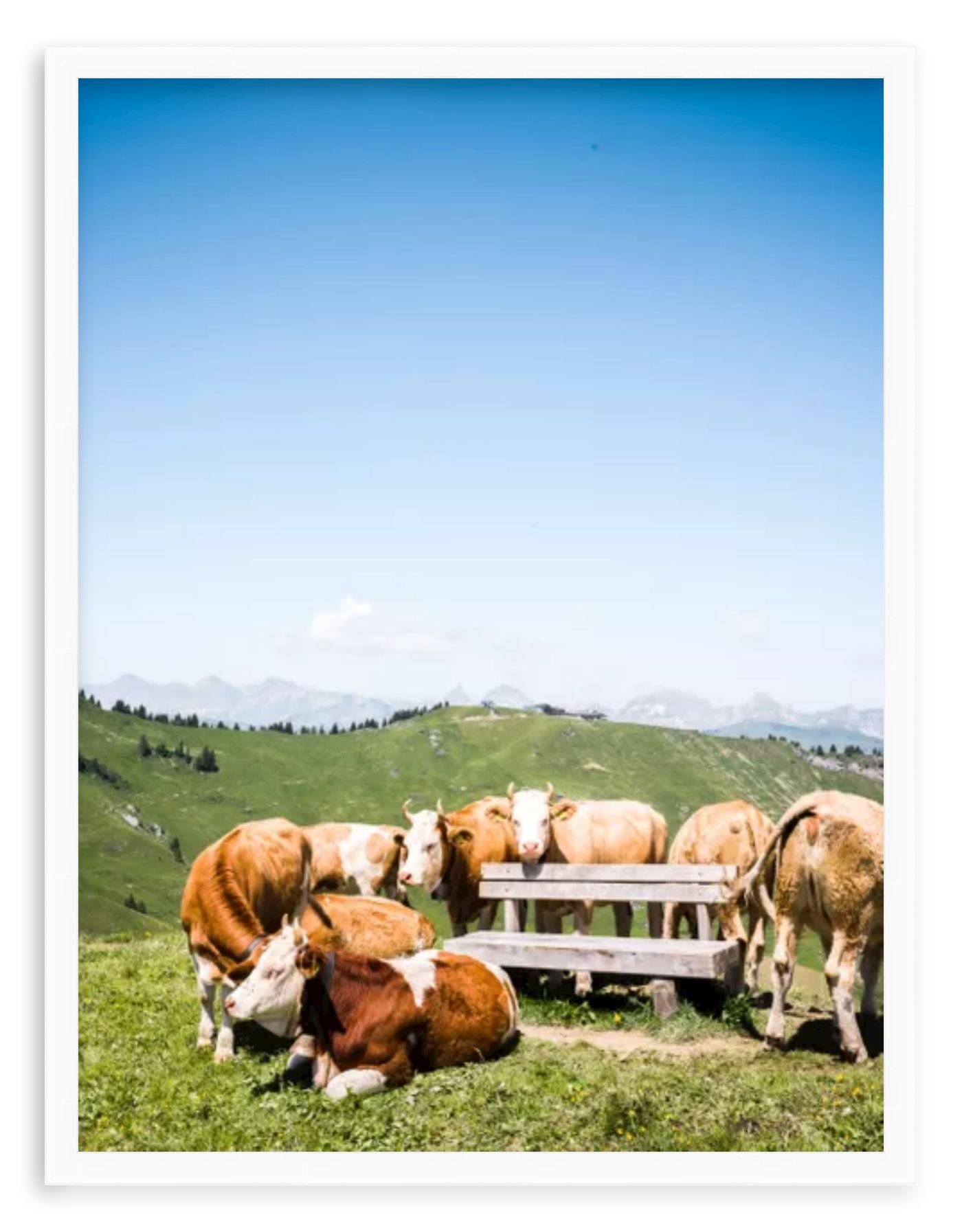 frame-preview (3).jpg