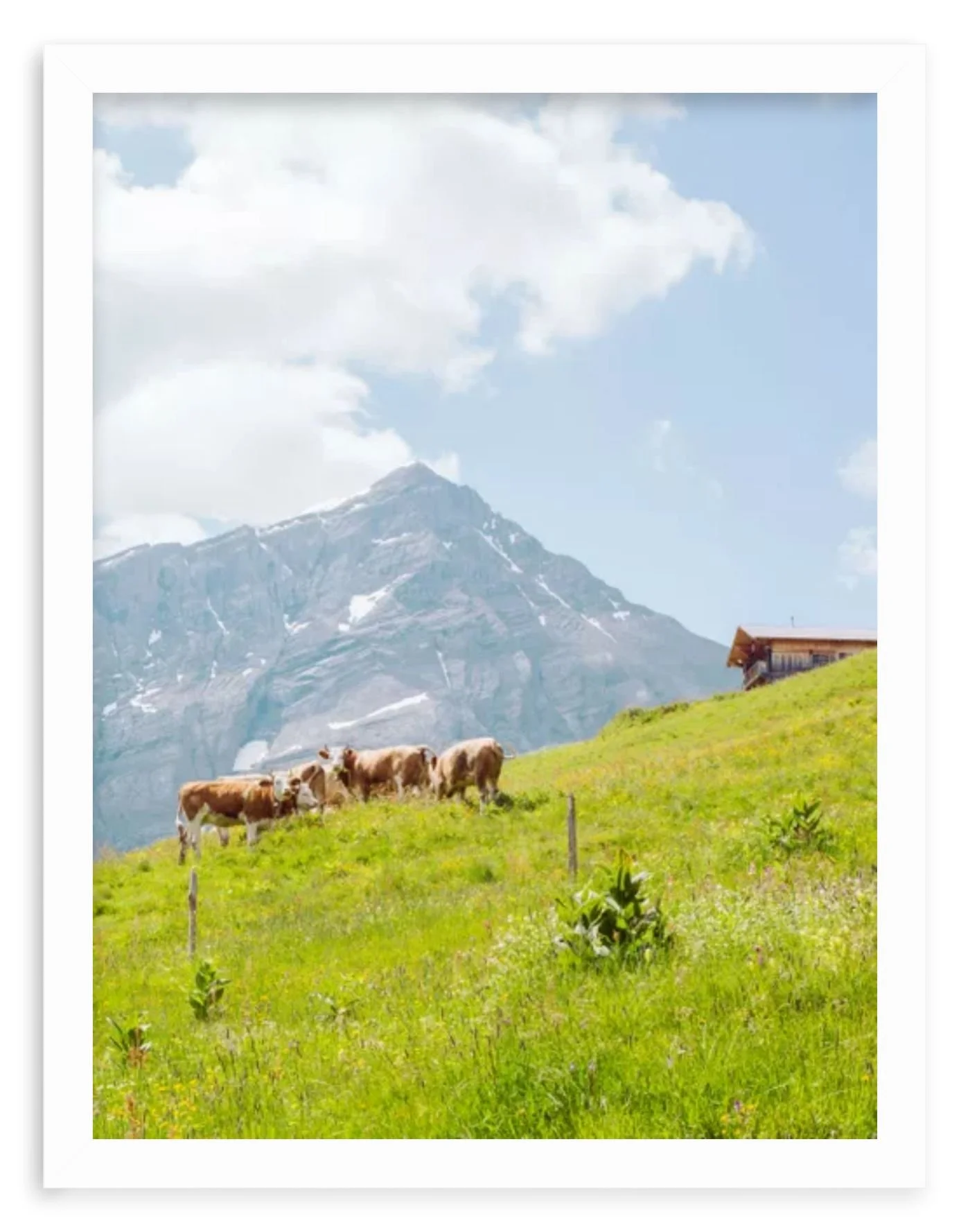 frame-preview (4).jpg