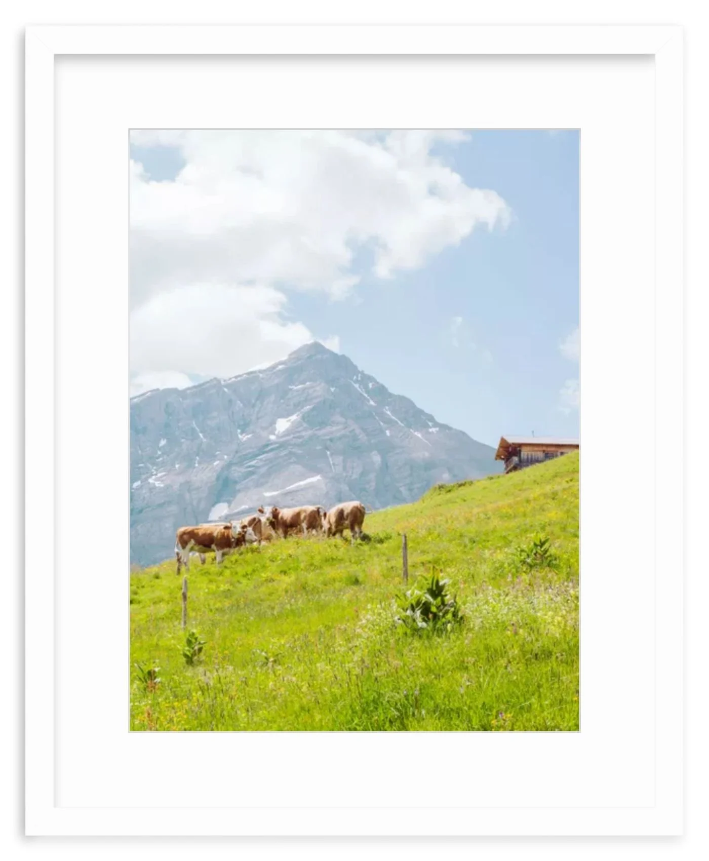 frame-preview (5).jpg