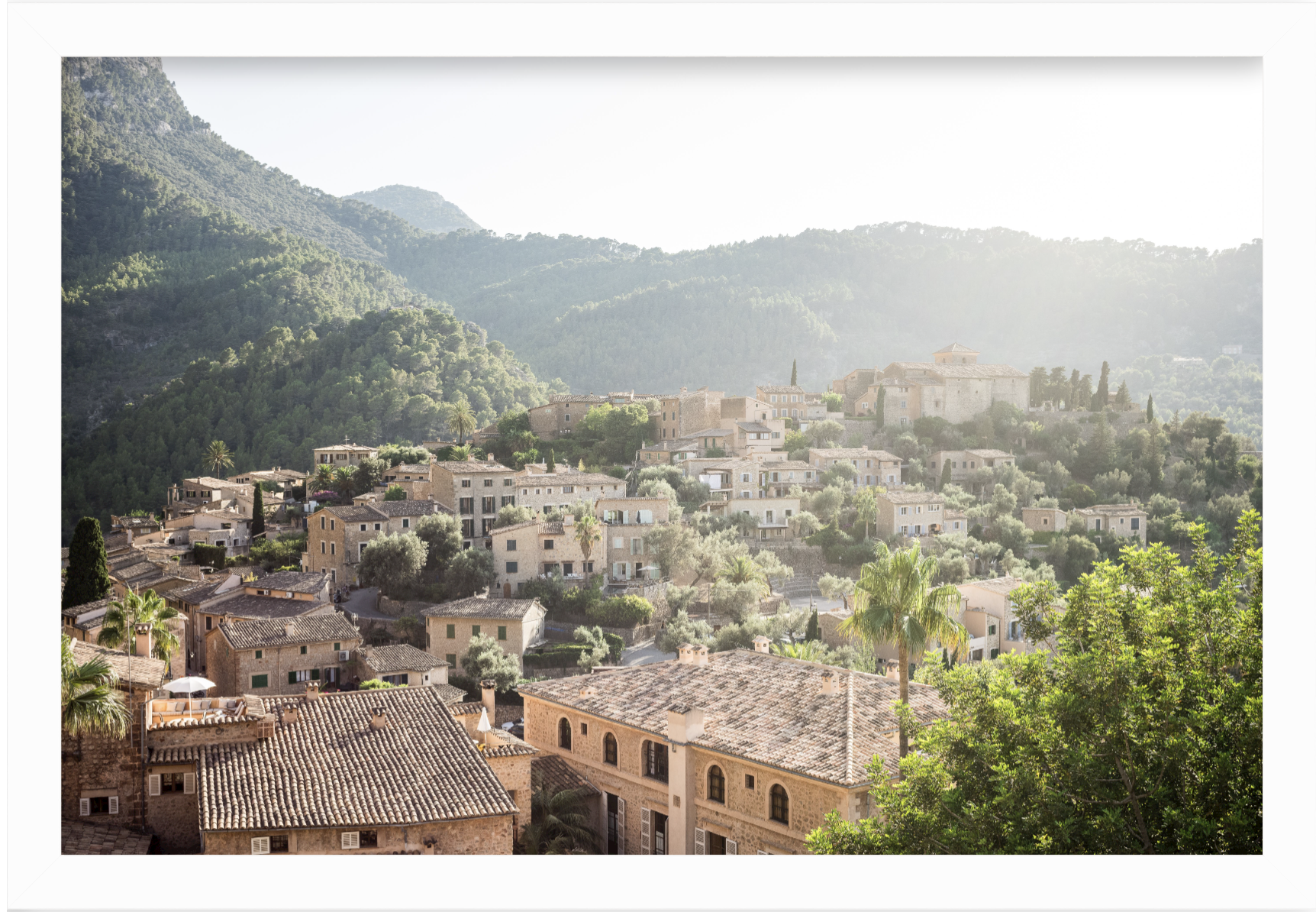 Screenshot 2024-08-22 at 9.52.57 AM.png