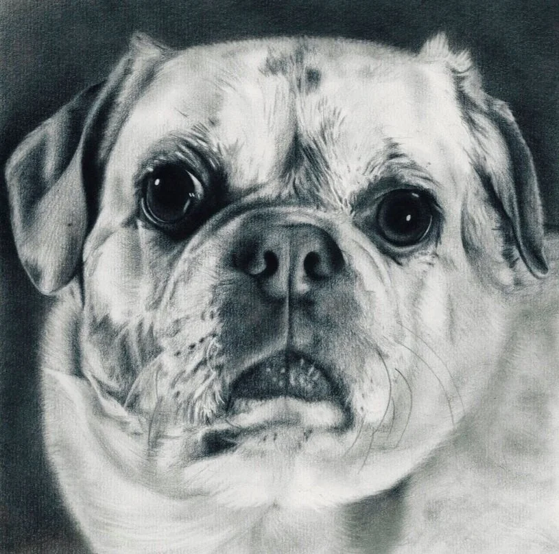 'Sucki' Print