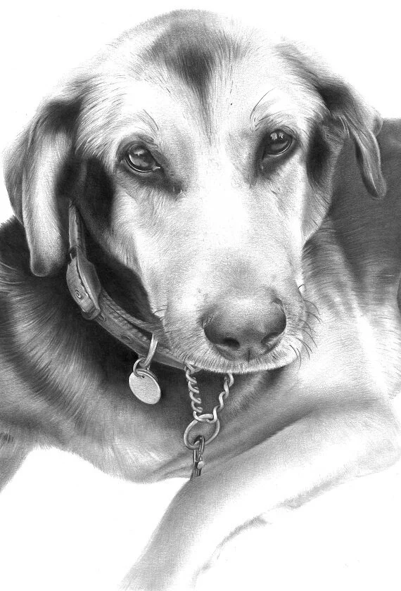 'Ruby' Print