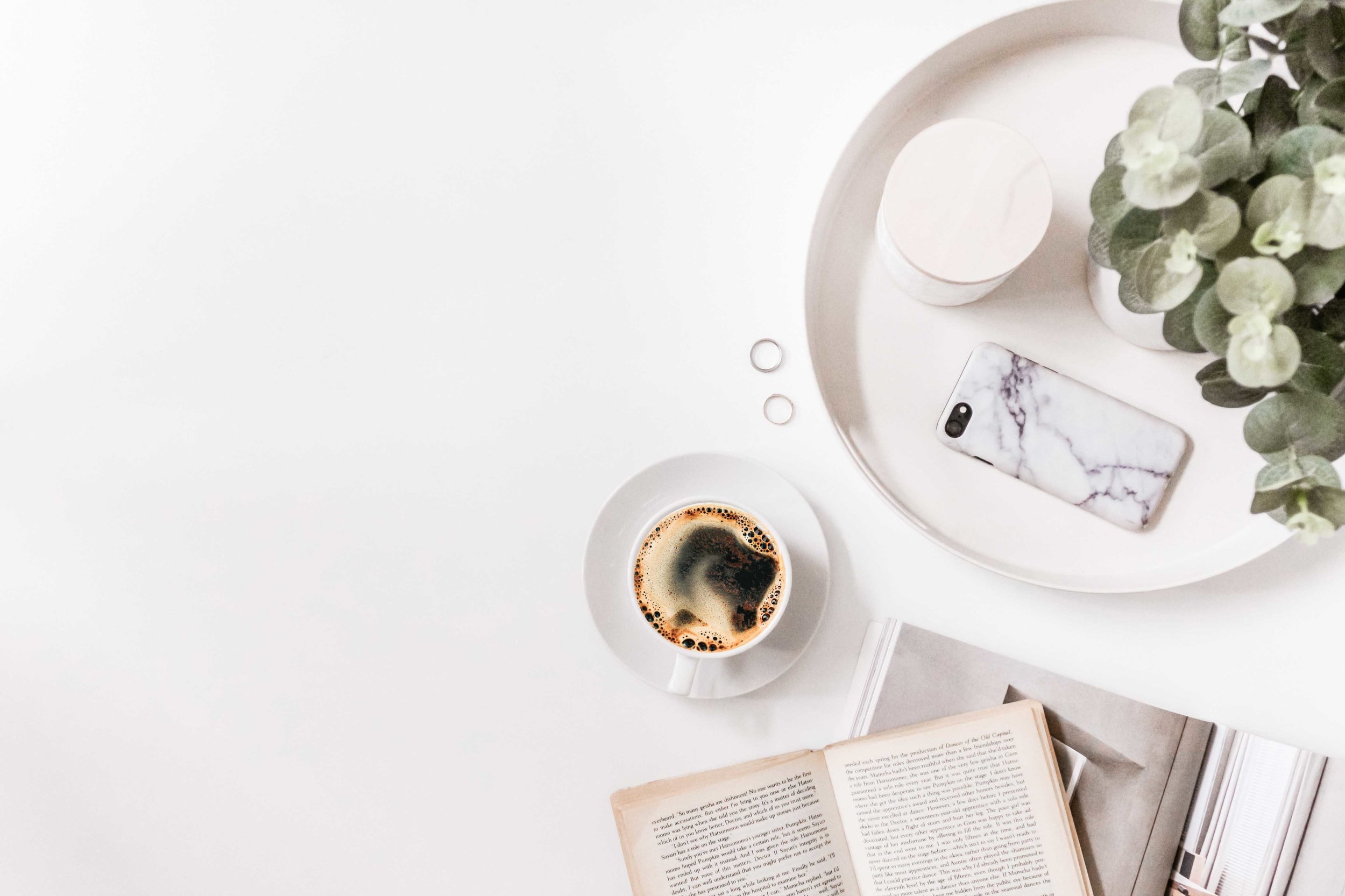 Coffee-Plant-Table.jpg