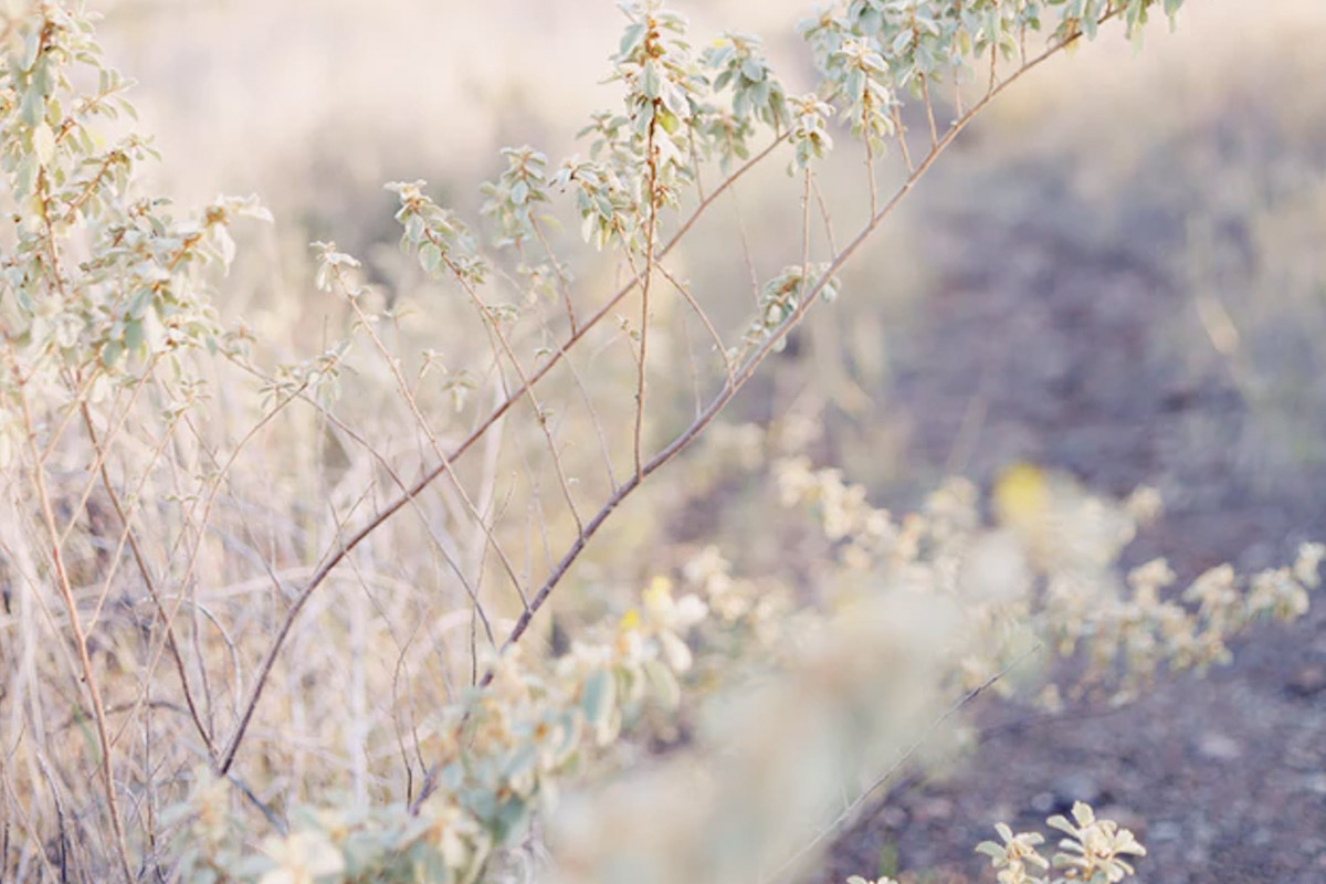 Nature-Trail.jpg