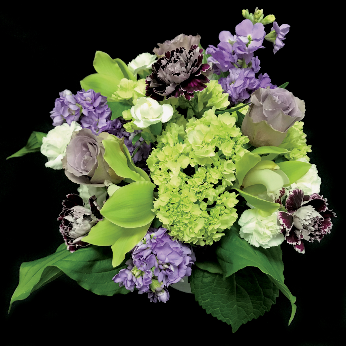 green hydrangea and purple stock flat.jpg