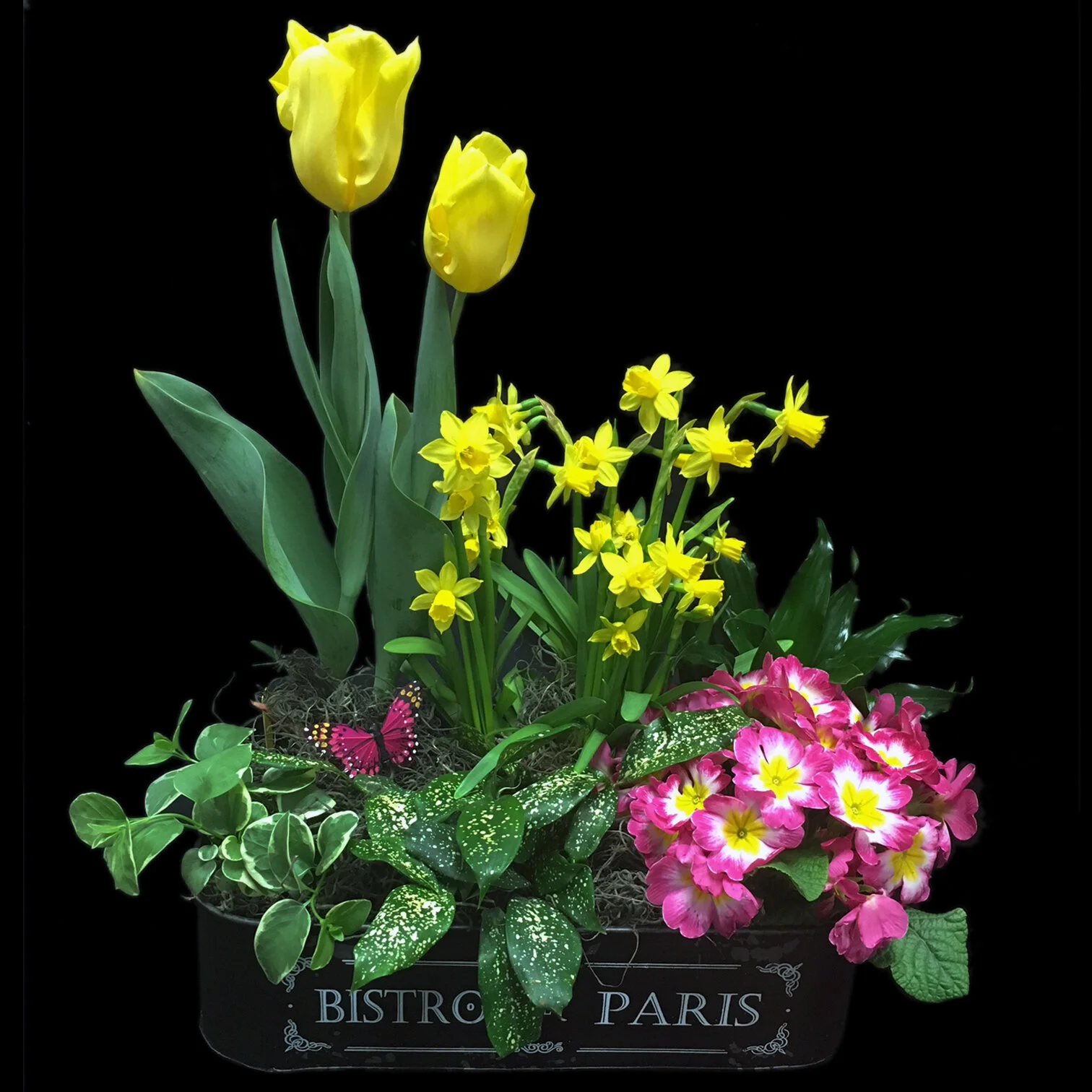 Seasonal Mix Garden Tin