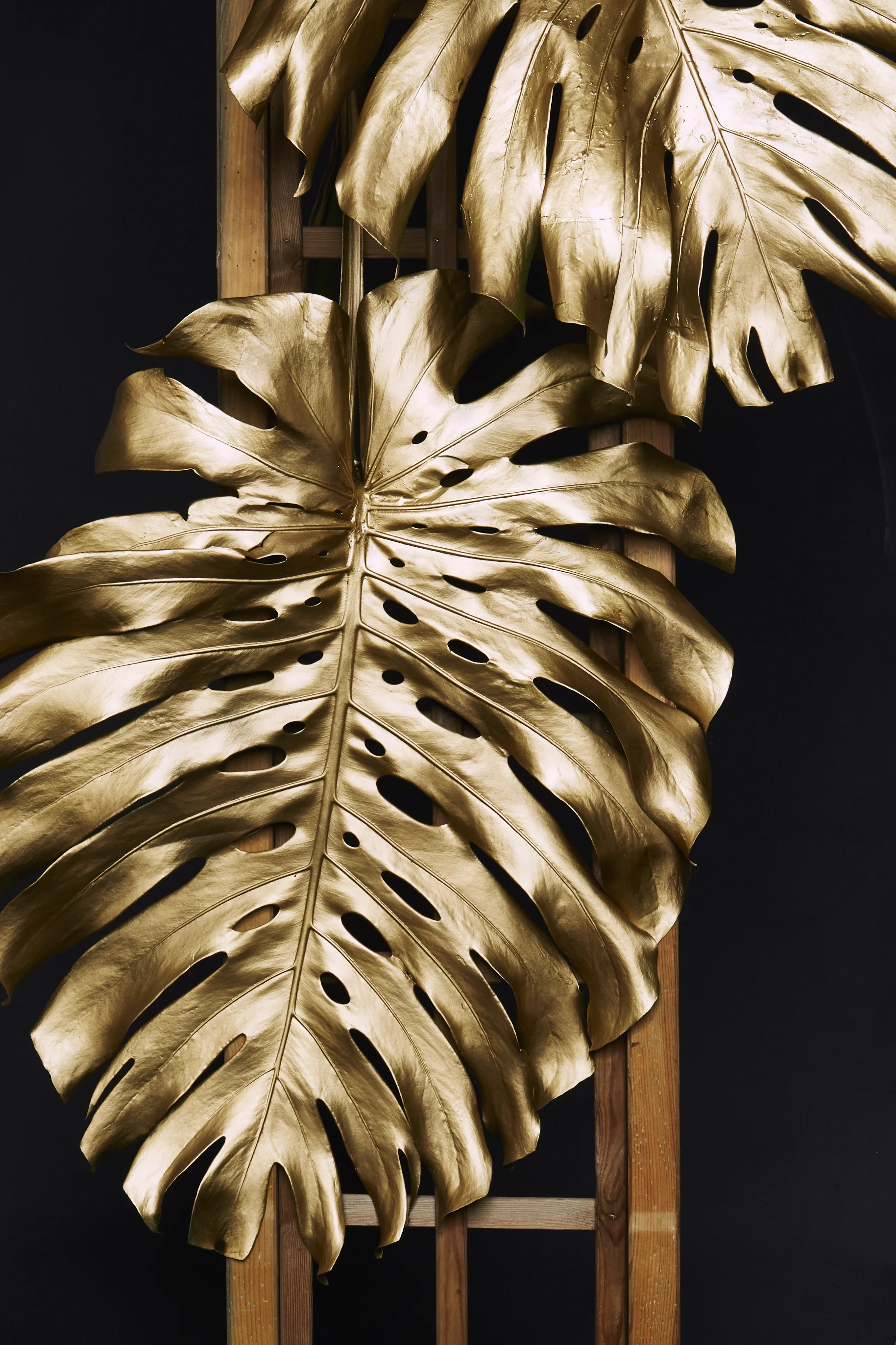 Gold – safe haven or volatile asset? 