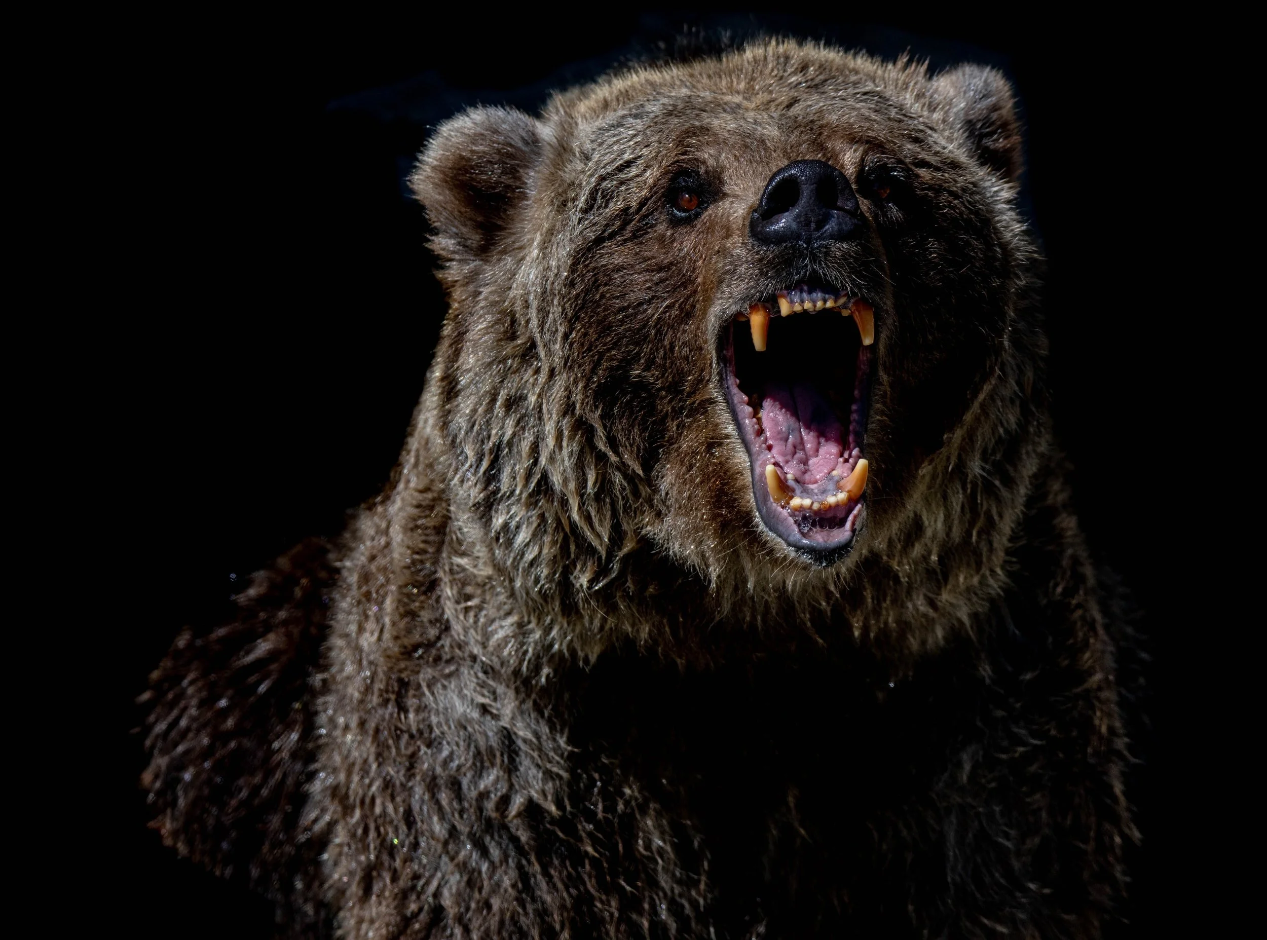 Ouch! The sell-off continues as Fed, earnings and Ukraine trigger sell off 