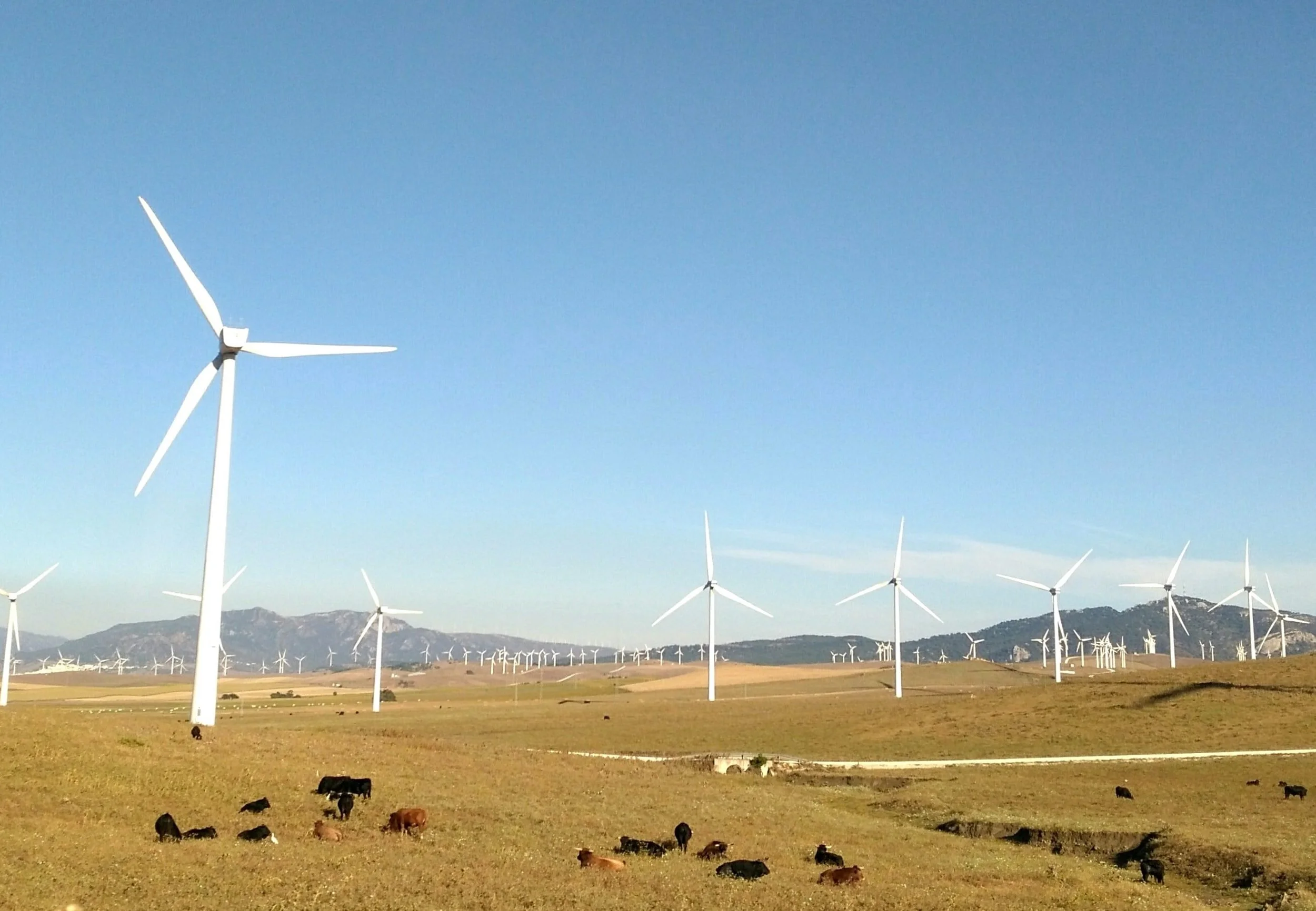 Renewables: the antidote to the commodity price surge 