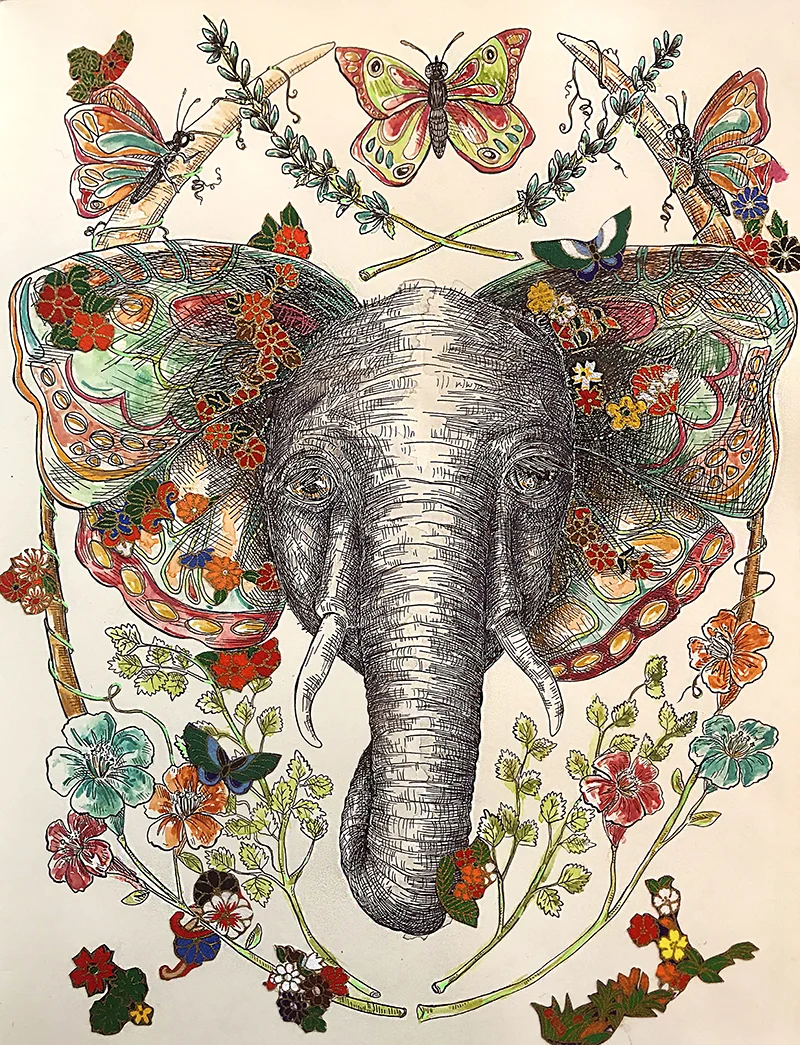 Metamorphosis