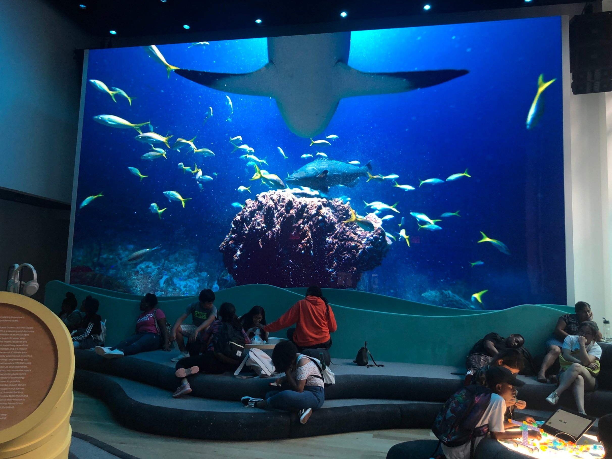 Sony Square NYC Aquarium 
