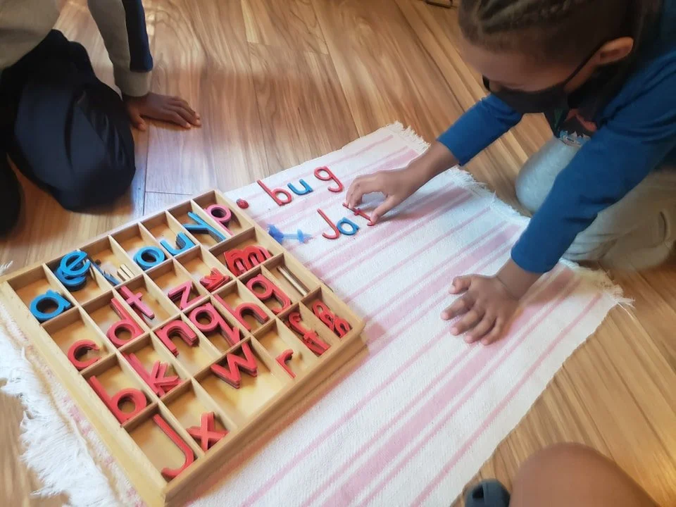 307129150_492989942835601_3390868992459859939_n.jpg