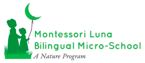 Montessori Bilingual Micro School