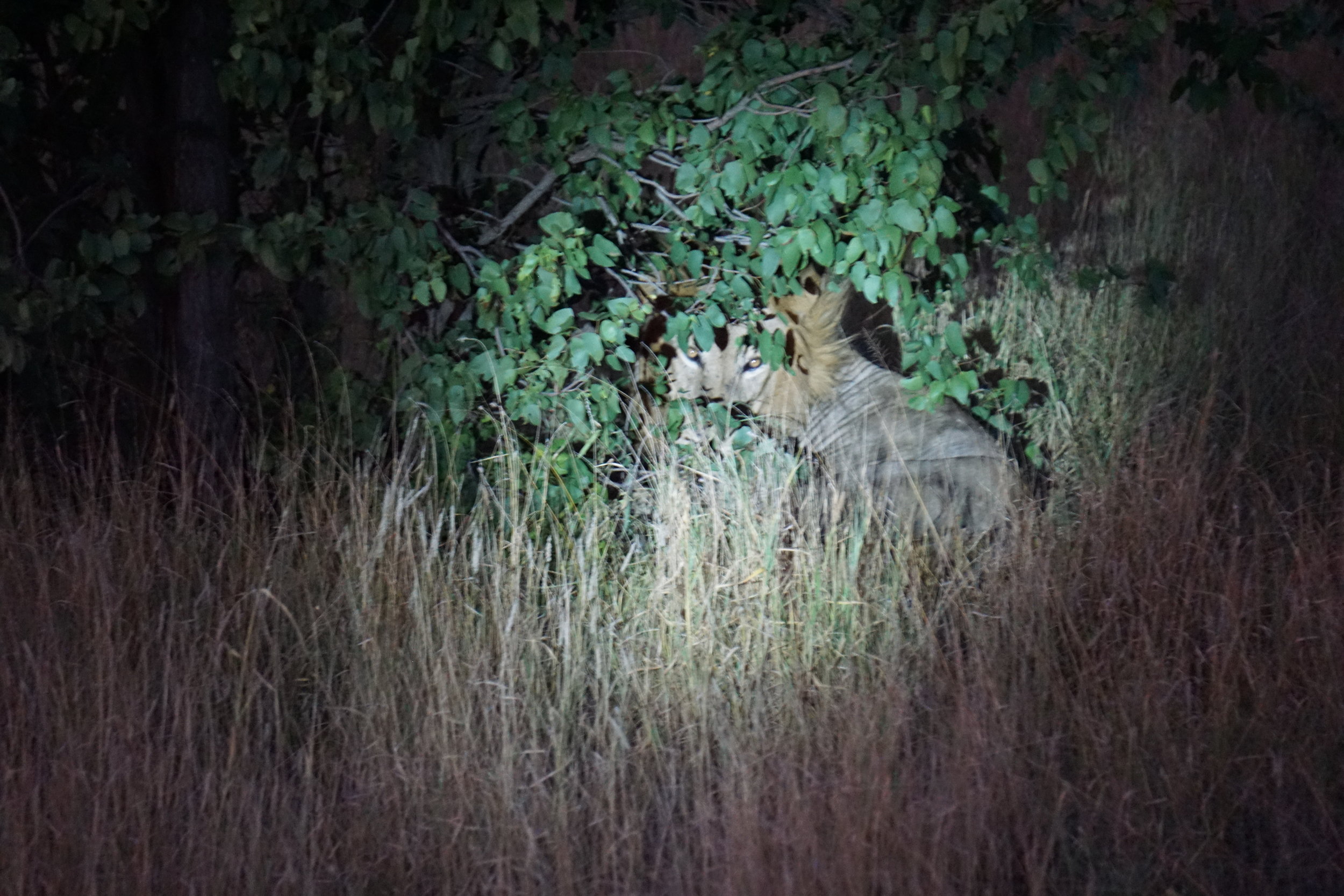 Photo Diary: South Africa