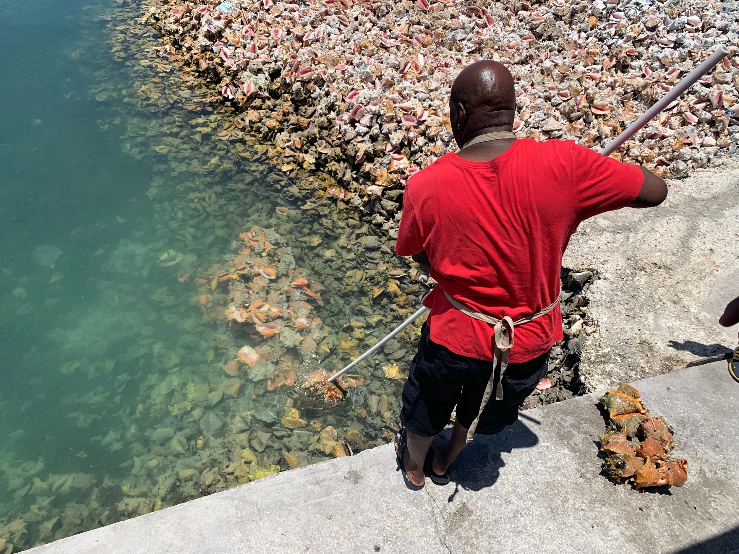 Photo Diary: Bahamas