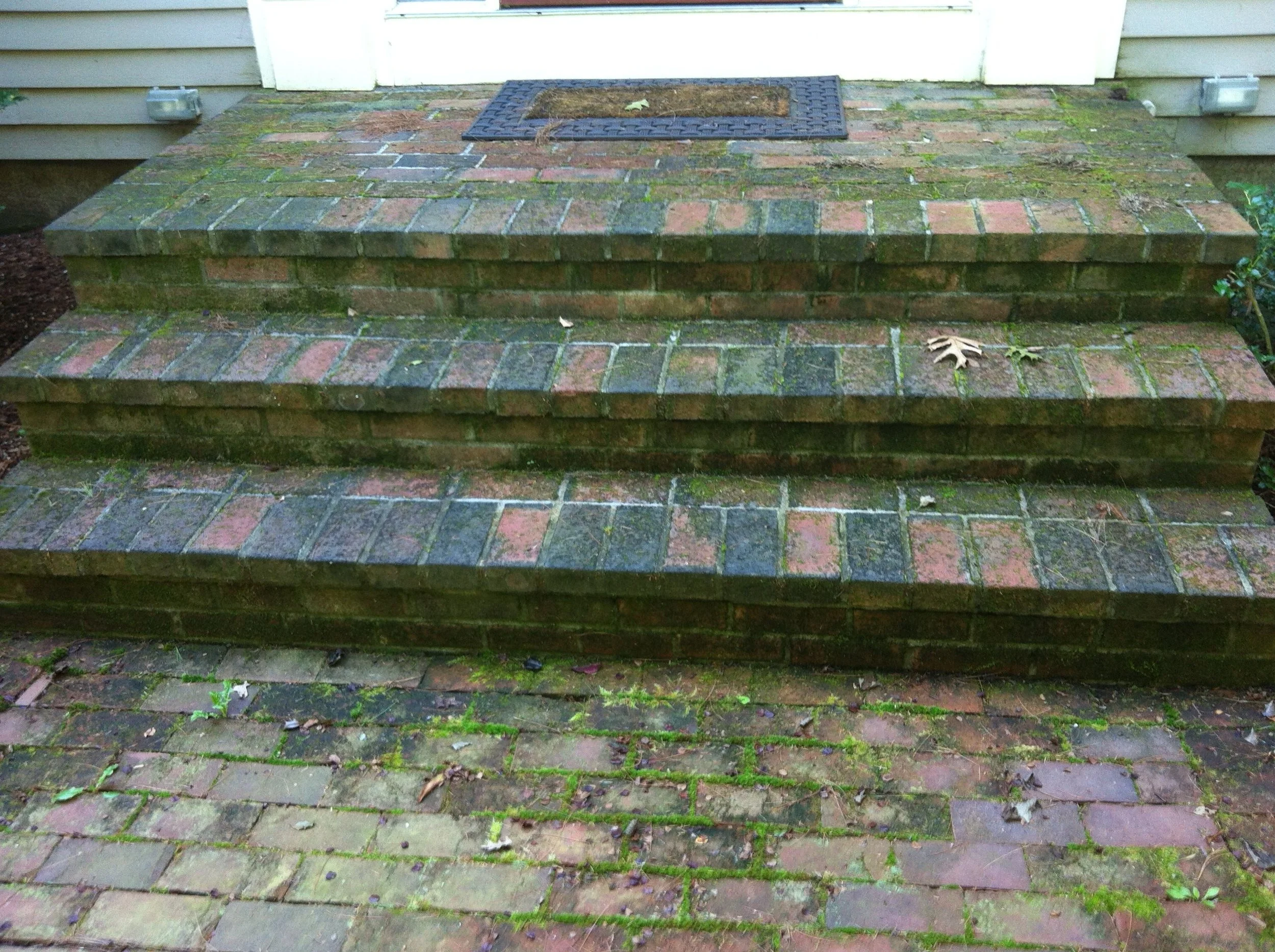 Wellesley MA Front Step Before 1.jpg