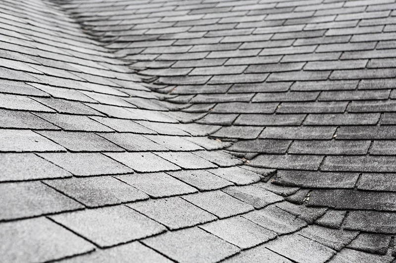 Roof.jpg