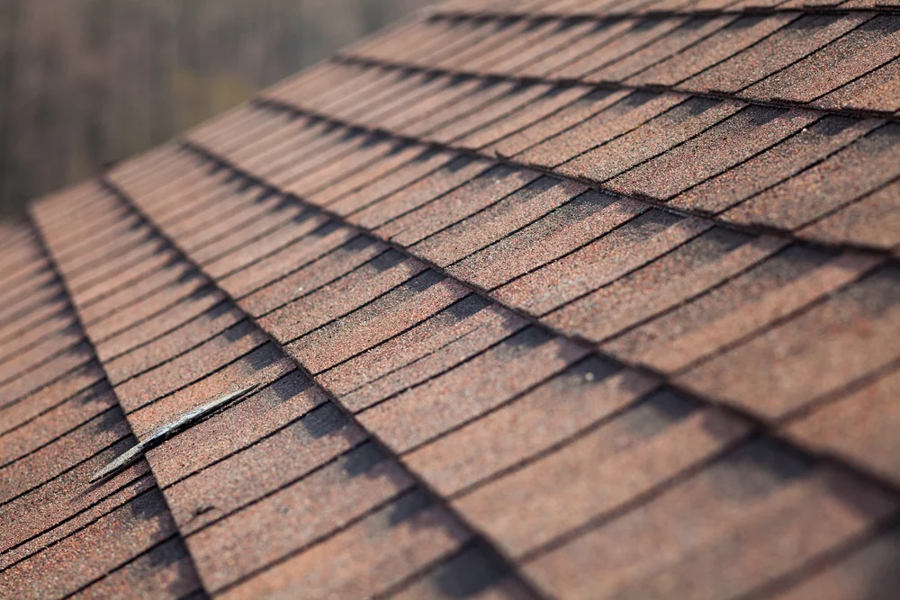 Asphalt-Shingles.jpg