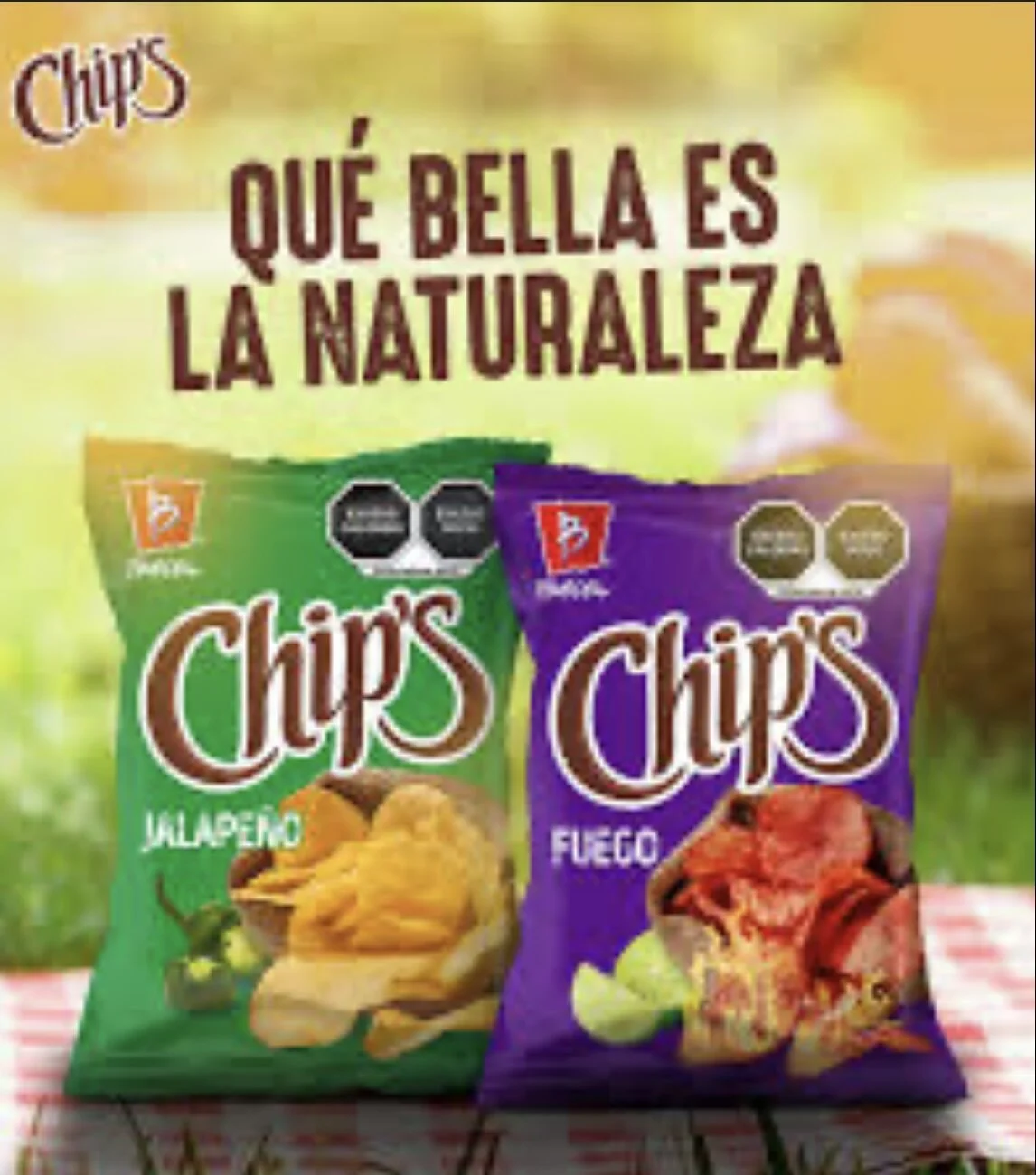 84628859-1D04-4E67-BBC7-544395CB4AAF