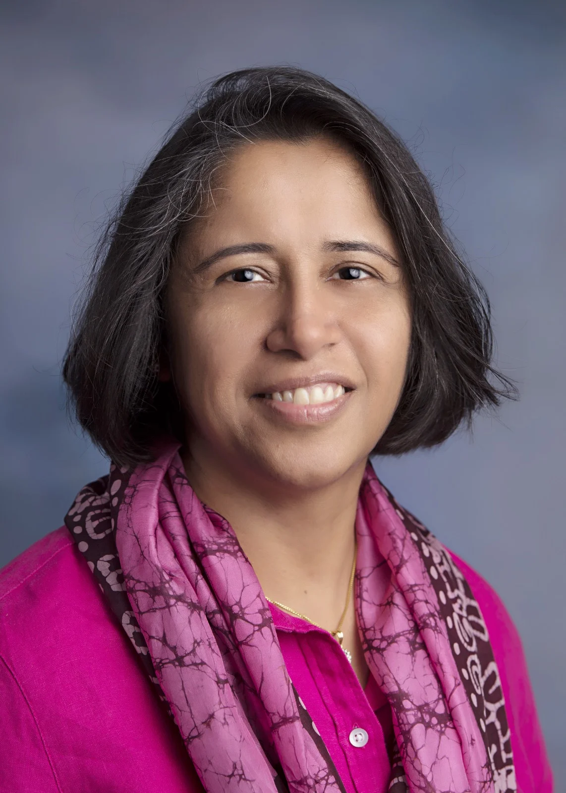 Ritu Aneja,  Ph.D.