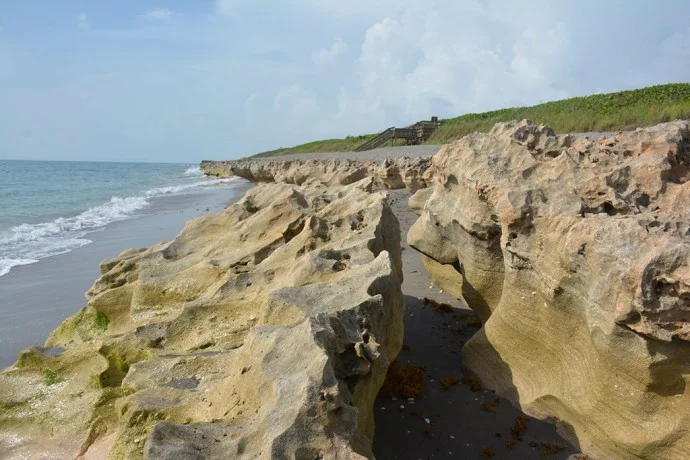 Coral Cove Park/Blowing Rocks Preserve