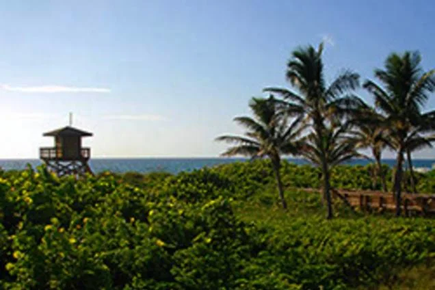 Red Reef Park