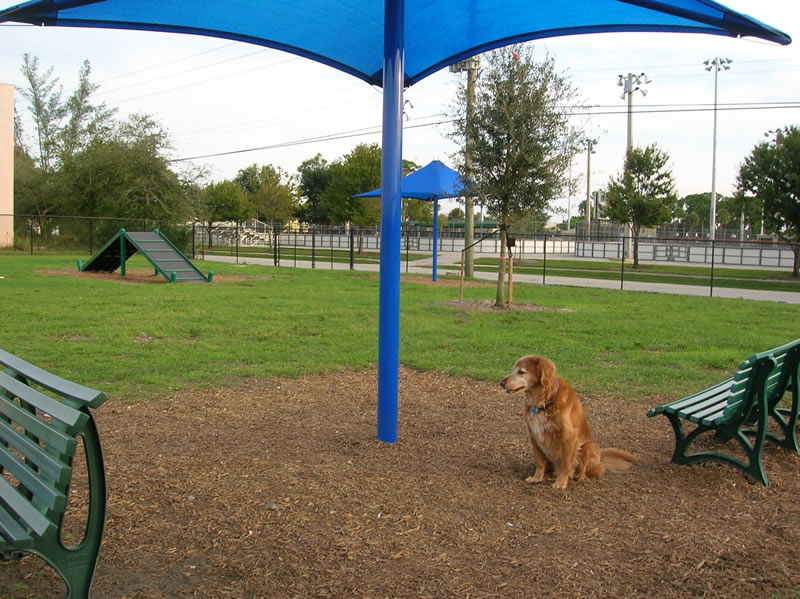 Lilac Dog Park Palm Beach Gardens